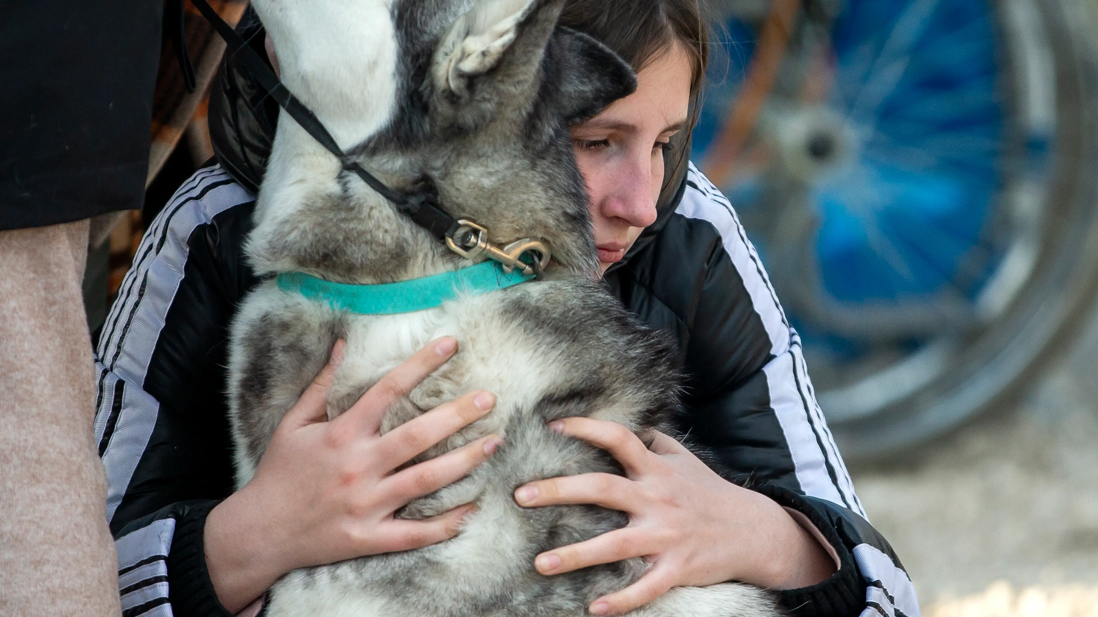 Una ucraniana abraza a un perro en el centro de recepción de refugiados en la frontera moldava, cerca de Palanca