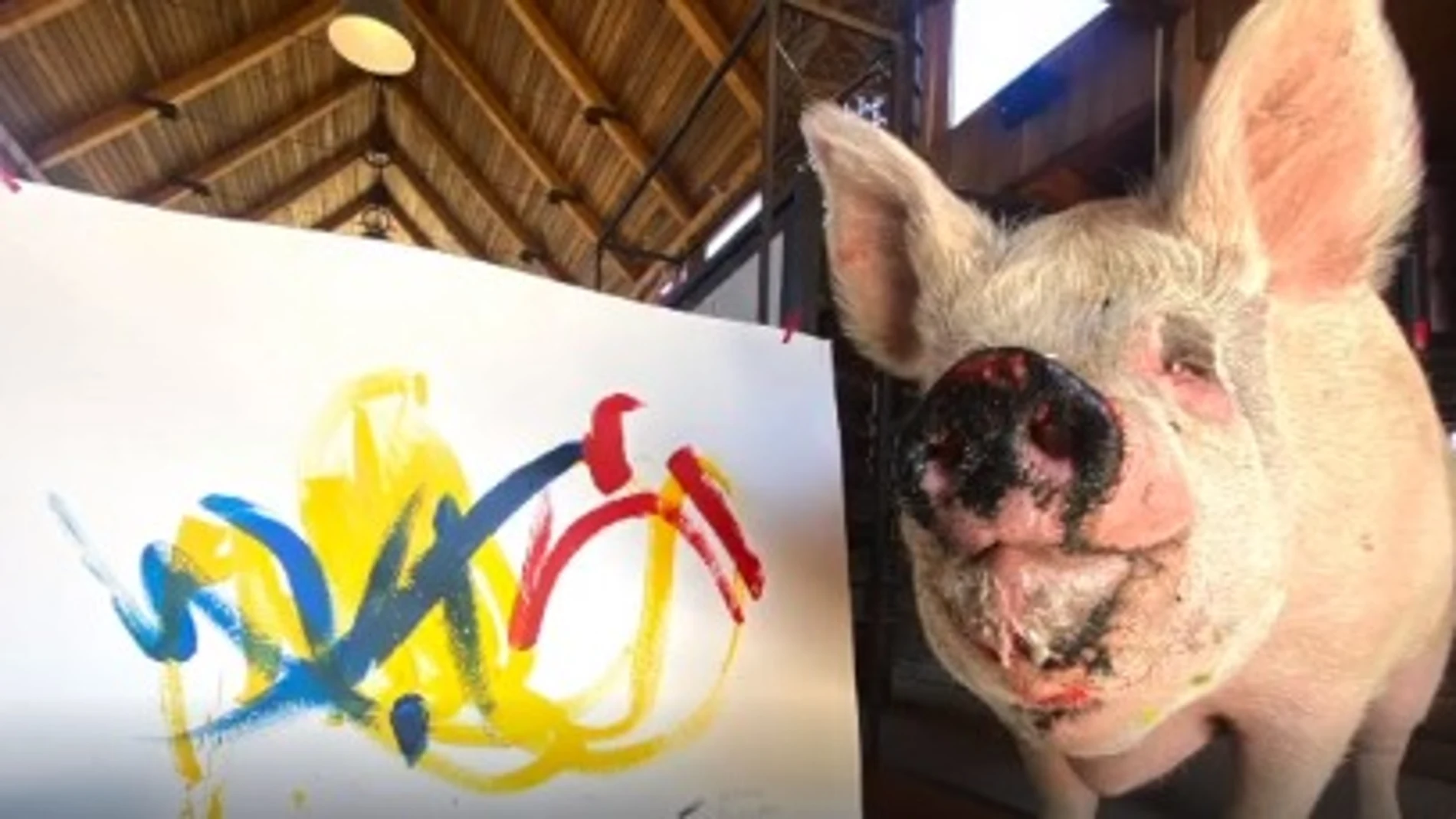 Pigcasso en solidaridad con Ucrania. @pigcassohoghero (Instagram)