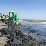 Operarios contratados de urgencia por la CARM se unen a las tareas de limpieza del Mar Menor
