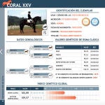 Coral, de la yeguada abulense Ayamonte