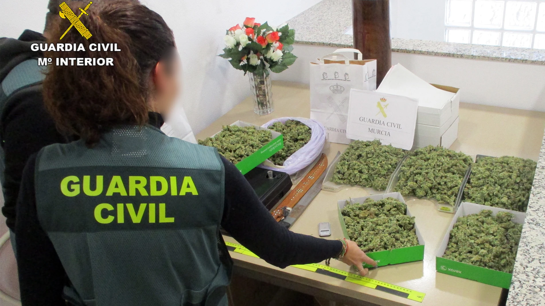 Se ha incautado cerca de dos kilos de marihuana y numerosos útiles empleados para su cultivo y manipulación