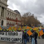 Agricultores valencianos esta mañana en la manifestación celebrada en Madrid