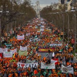 Manifestación por la defensa del campo español en Madrid