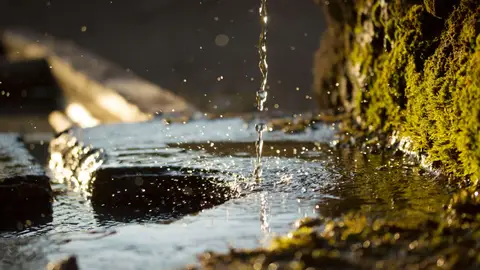 Día Mundial del Agua 2022