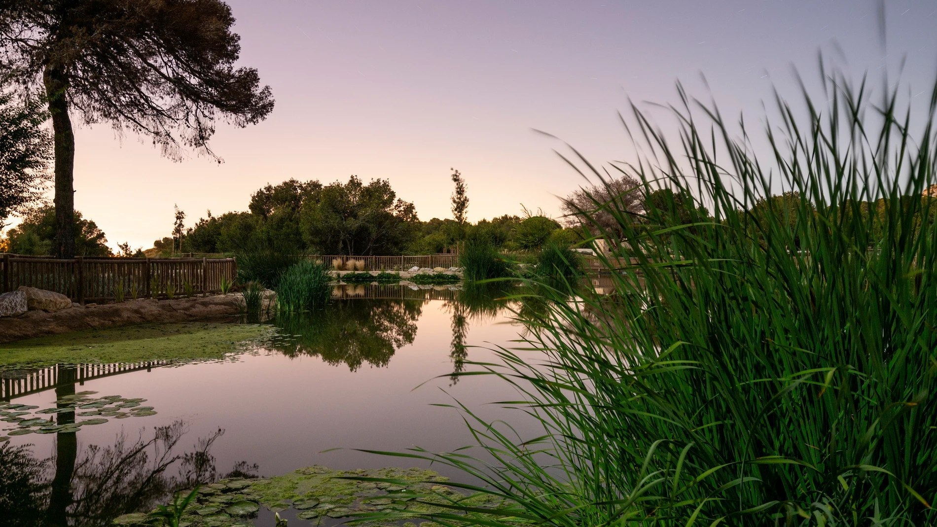 Ejemplo reconstrucción verde. Nuevo parque para uso y almacenamiento agua regenerada