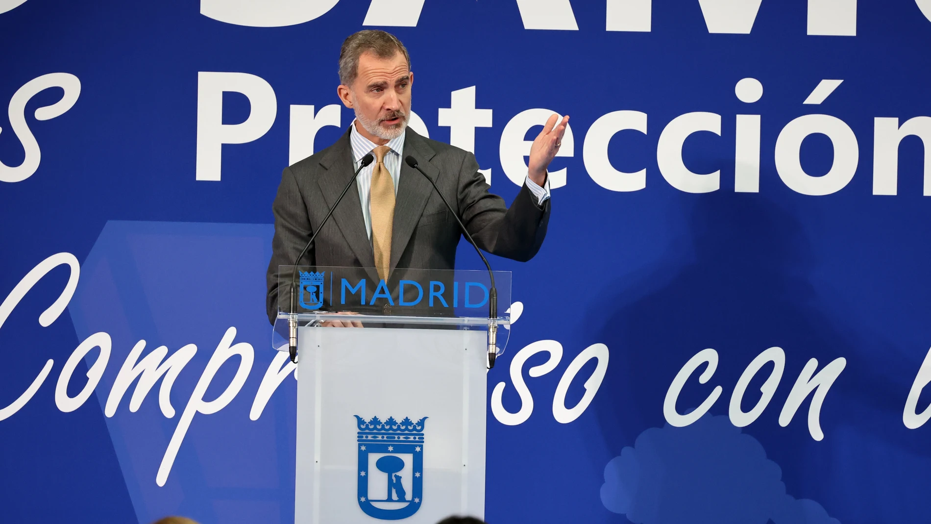 El rey Felipe VI. Antonio Gutiérrez / Europa Press