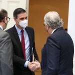 El presidente del Gobierno, Pedro Sánchez, se reunió ayer con ejecutivos de las principales eléctricas en Moncloa