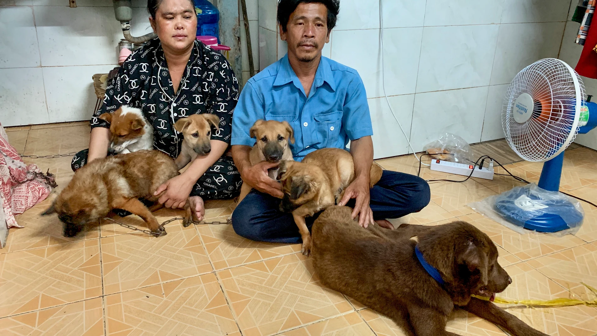 Pham Minh Hung y Nguyem Thi Chi, los propietarios de los perros sacrificados