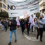 Manifestación de estudiantes en Burgos contra la reforma educativa