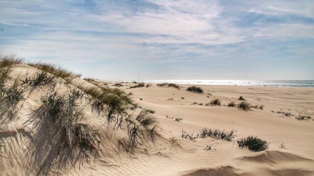 La zona entre El Chato y Torregorda en la que se va a habilitar la señalética