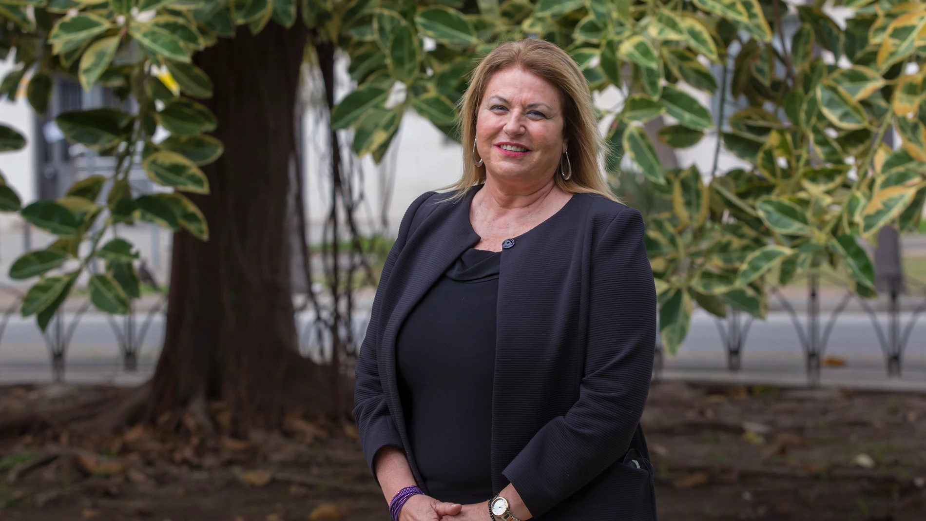 La fiscal delegada en Andalucía de Violencia sobre la Mujer, Flor de Torres. EFE/ Álvaro Cabrera