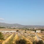 Terrenos sobre los que se prevé construir la macroplanta solar en la provincia de Castellón