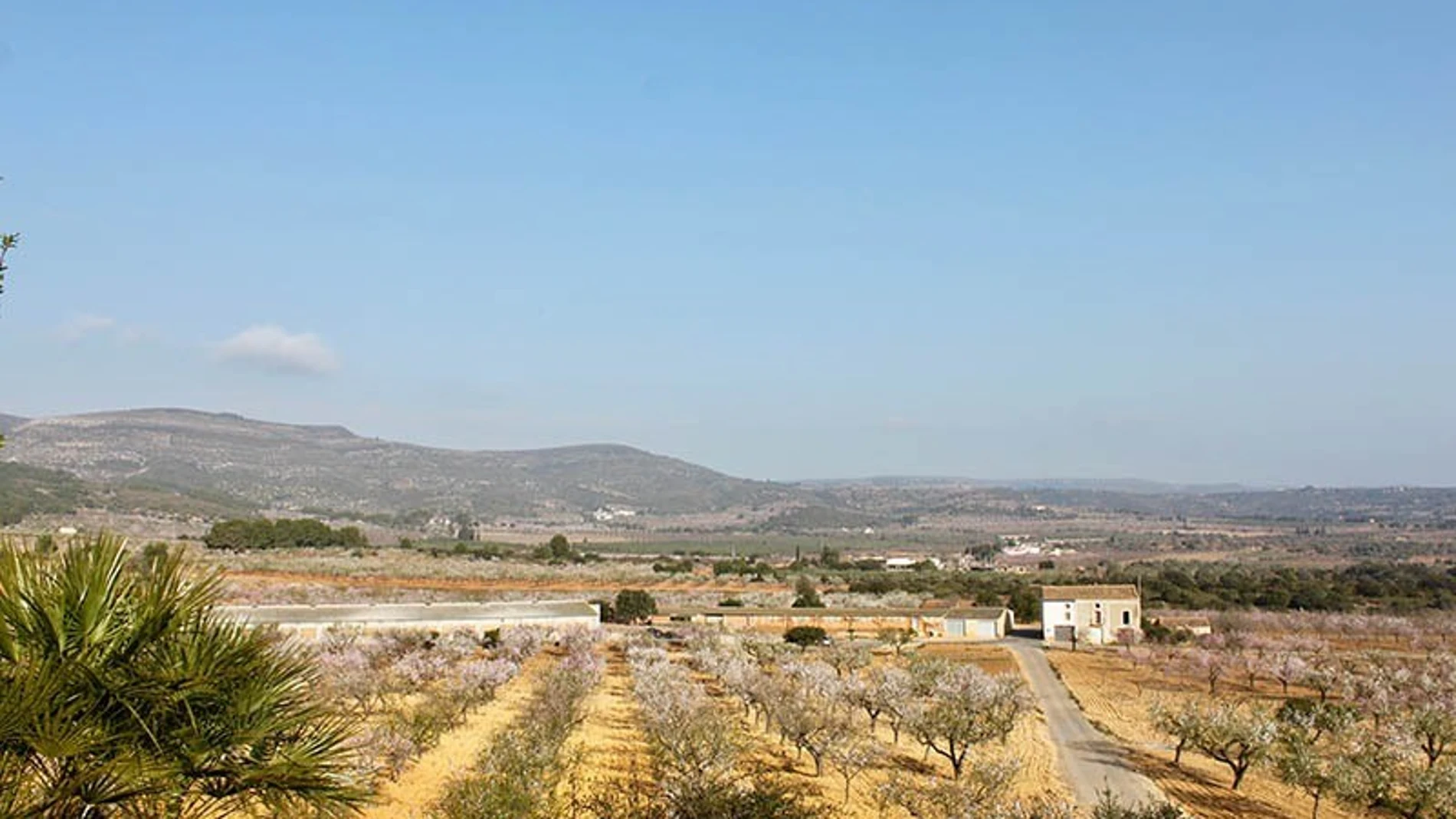 Terrenos sobre los que se prevé construir la macroplanta solar en la provincia de Castellón