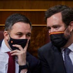 El presidente pide que se retire la expresión del Diario de Sesiones y el líder de Vox se niega a rectificar.