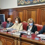 Pleno de la Diputación de Palencia, presidido por Ángeles Armisén