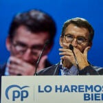 El líder del PP, Alberto Núñez Feijóo
