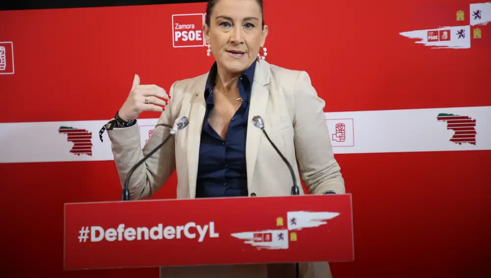 La secretaria de Organización del PSOE de Castilla y León, Ana Sánchez, analiza asuntos de la actualidad política de la Comunidad