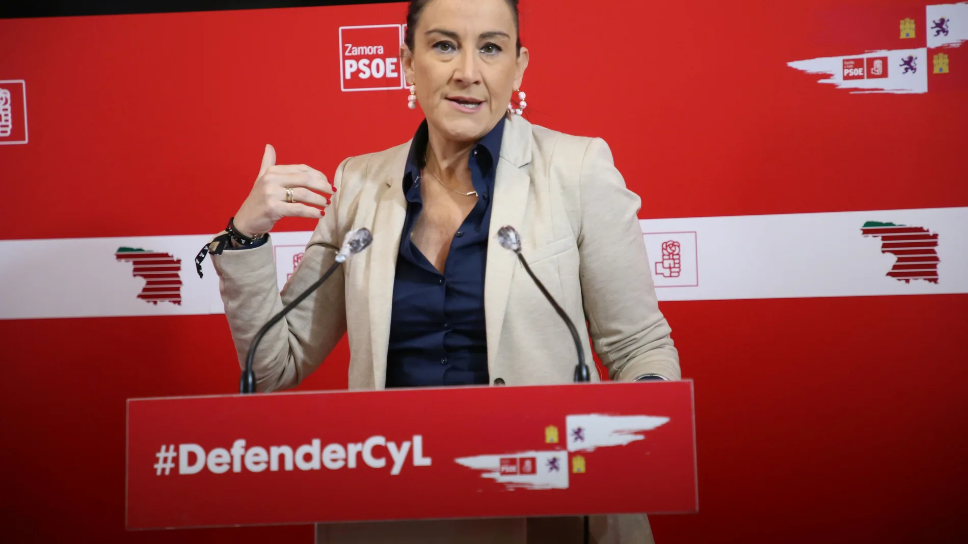 La secretaria de Organización del PSOE de Castilla y León, Ana Sánchez, analiza asuntos de la actualidad política de la Comunidad