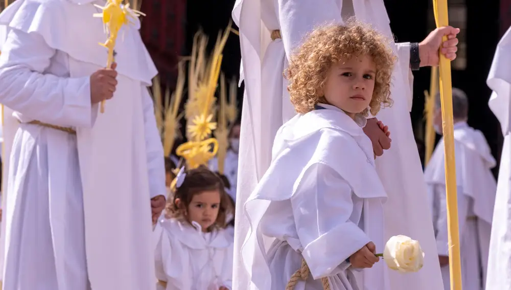 Procesión de La Borriquilla en Salamanca