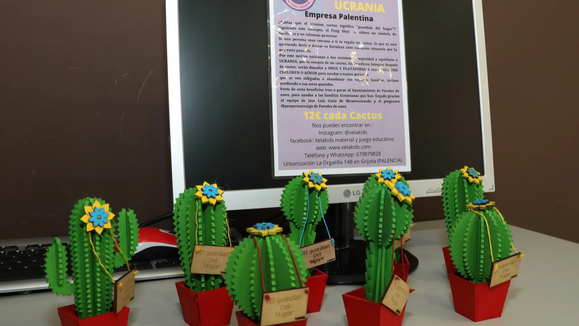 La empresa de juguetes pedagógicos artesanos Xelakids, pone a la venta cactus de madera para recuadrar fondos para los ucranianos asentadas en Paredes de Nava y diversas ONG, en la imagen la tienda A_Cero en la capital donde se pueden adquirir estos cactus