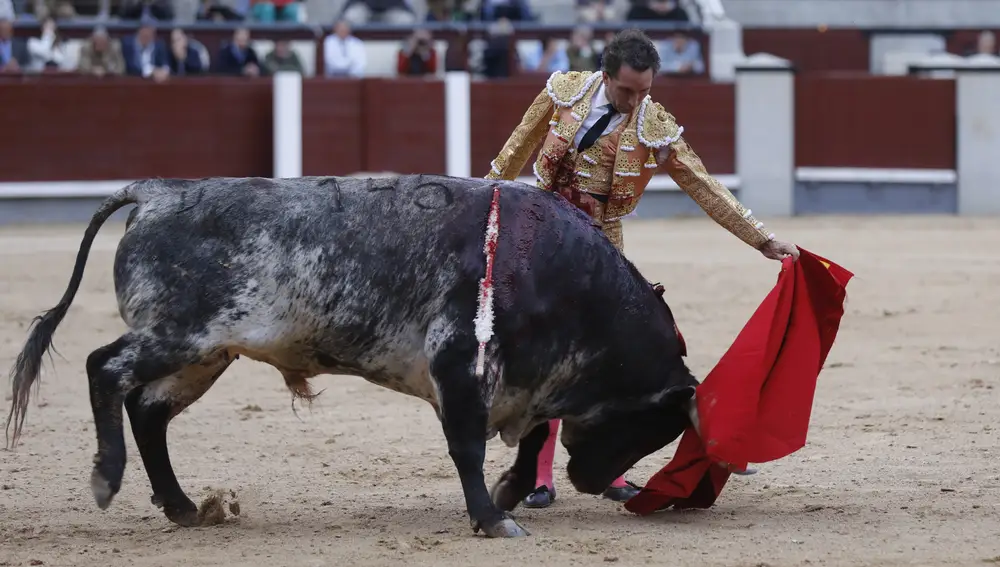 El torero Emilio de Justo se encierra en Las Ventas con 6 toros en el Domingo de Ramos. El diestro Alvaro de la Calle sustituye a Emilio de Justo tras sufrir una cogida en su primer toro.