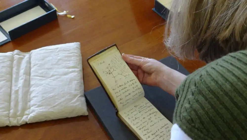 La Dra. Jessica Gardner mira el Bosquejo del Árbol de la Vida en uno de los cuaderno del naturalista Charles Darwin que recientemente fue devuelto