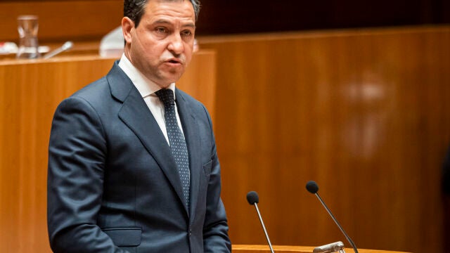 El portavoz del Grupo Parlamentario Popular, Raúl de la Hoz, interviene en el pleno de las Cortes