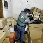 La Guardia Civil interviene más de 14.000 artículos falsificados en Valladolid y Bizkaia