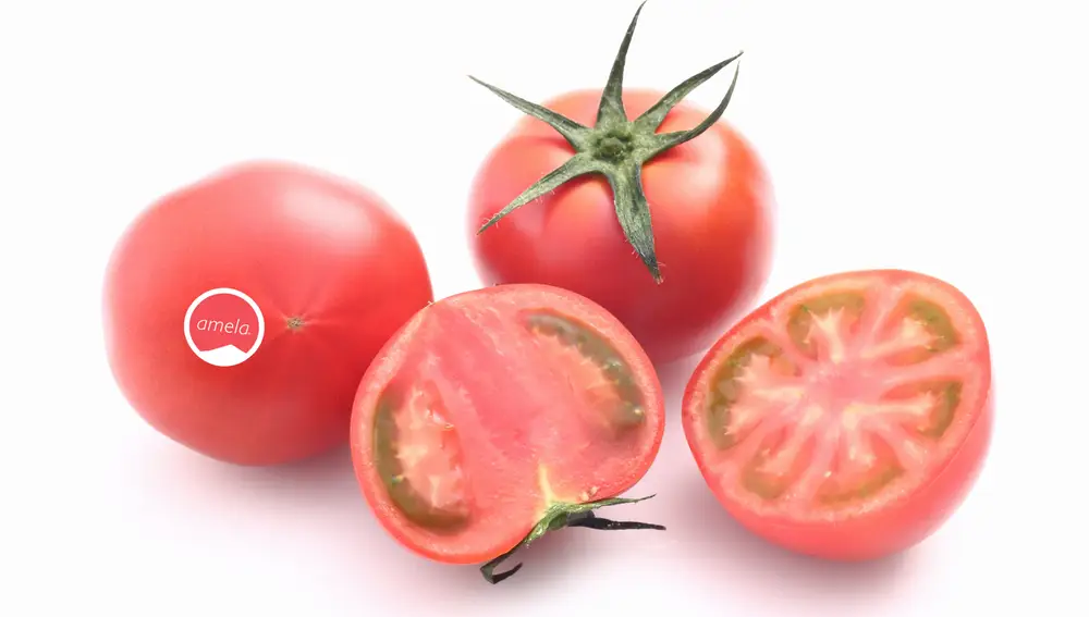 El tomate Amela