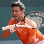 Djokovic, durante el último torneo que ha disputado, en Belgrado, en el que fue superado en la final por el ruso Rublev