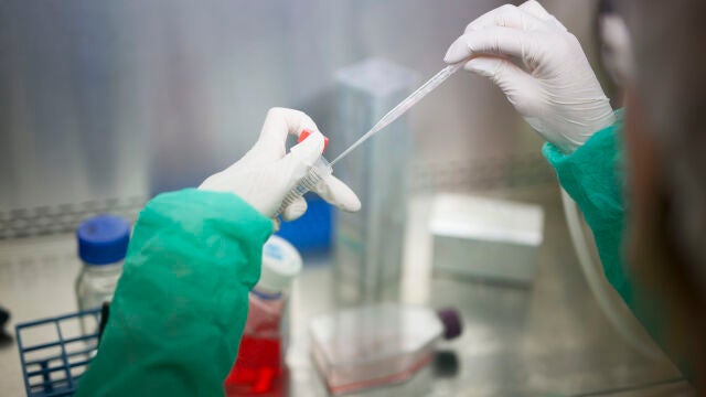 El trabajo ofrece una vía prometedora para potenciar las terapias inmunológicas y antiangiogénicas actuales