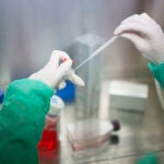 El trabajo ofrece una vía prometedora para potenciar las terapias inmunológicas y antiangiogénicas actuales