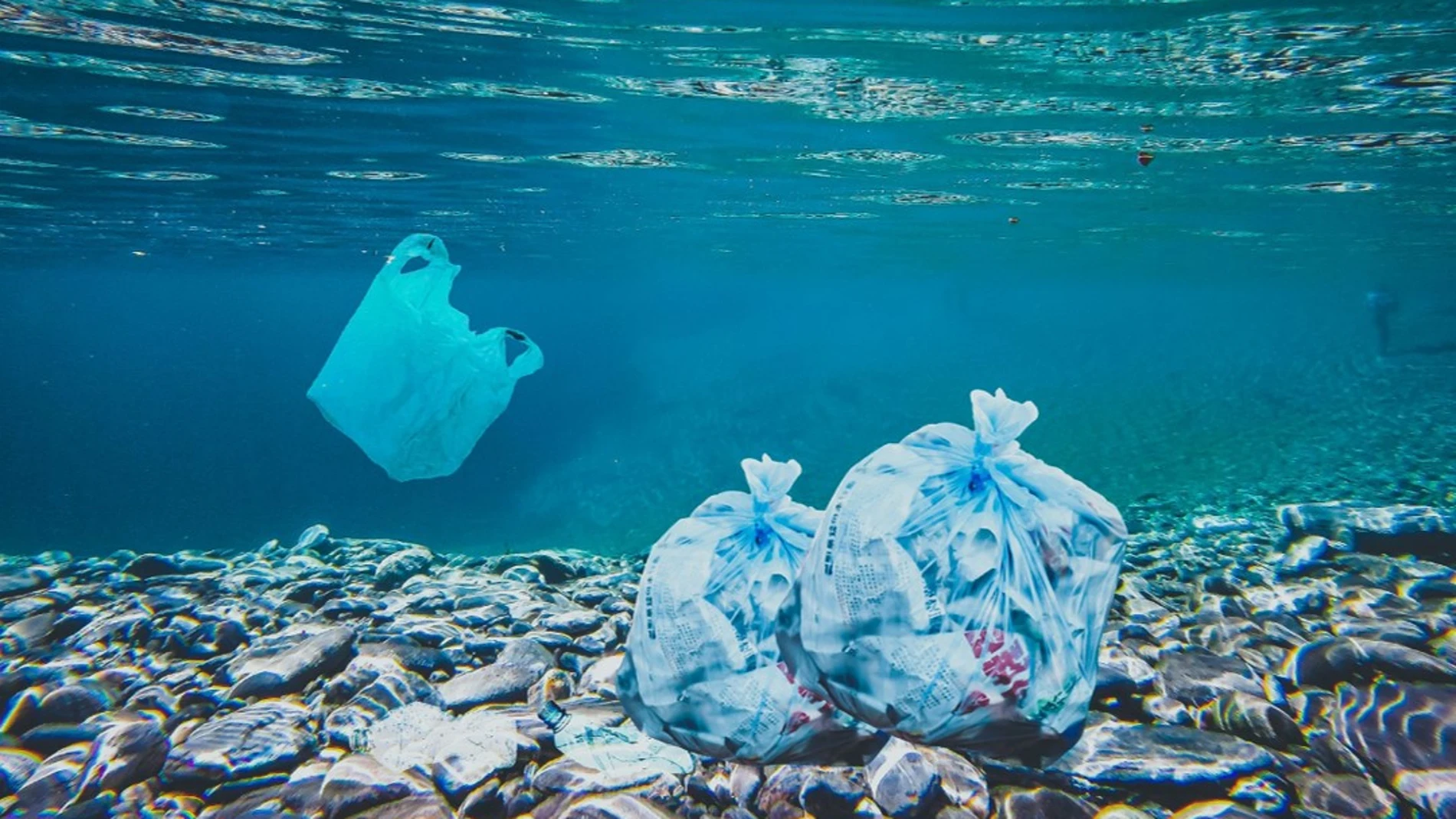Dos bolsas de plástico llenas de residuos en el fondo del mar