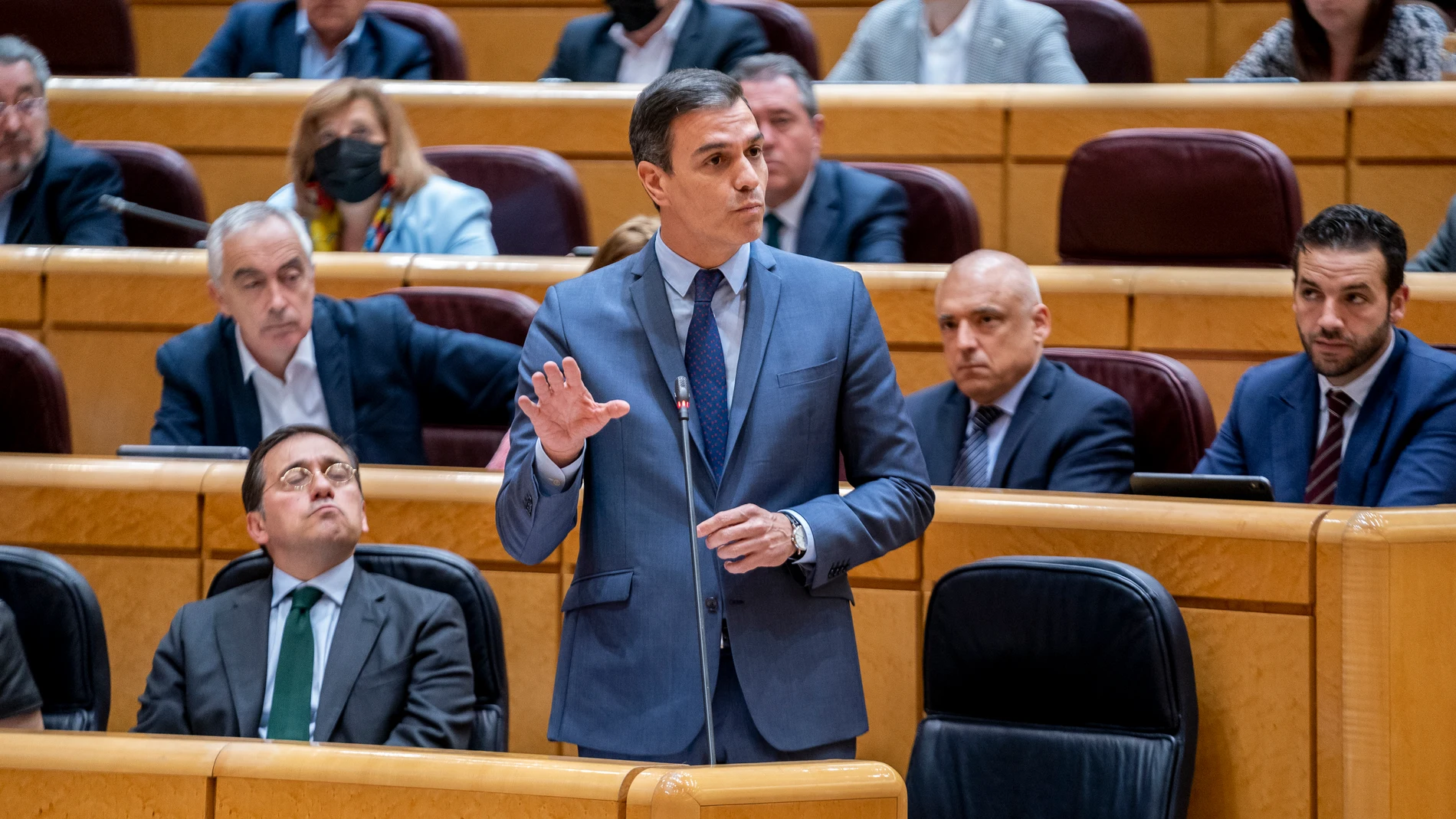 El presidente del Gobierno, Pedro Sánchez, interviene en una sesión de control al Gobierno en el Senado