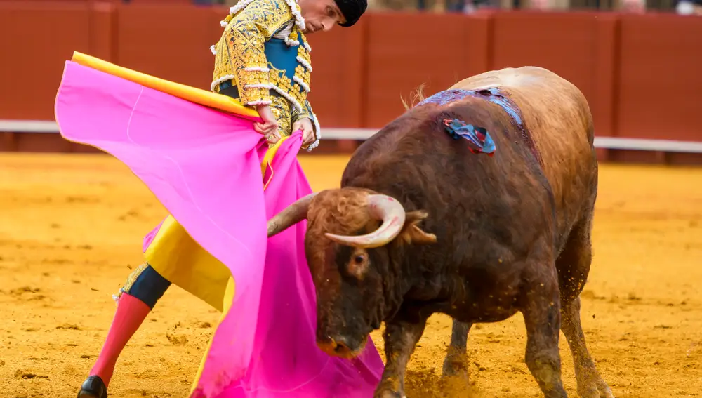 SEVILLA, 27/04/2022.- El diestro Joaquín Galdós con su primer toro de la tarde en la Plaza de La Maestranza de Sevilla. EFE/ Raúl Caro