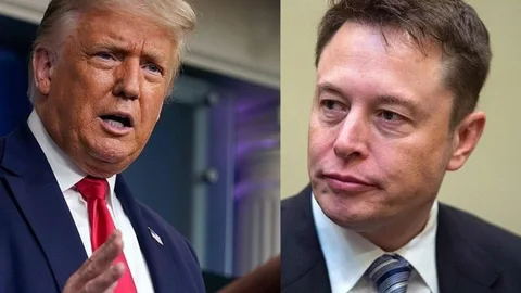 Donald Trump y Elon Musk, en imágenes de archivo