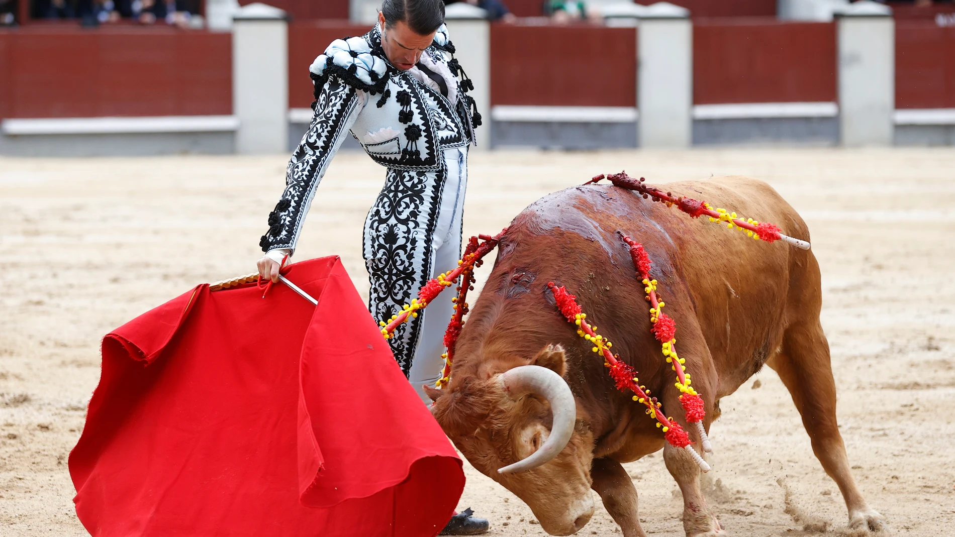 -FOTODELDÍA- MADRID, 02/05/2022.- El diestro Uceda Leal, durante la tradicional corrida Goyesca del 2 de mayo, con toros de la ganadería de El Cortijillo, este lunes en la plaza de toros de Las Ventas, en Madrid. EFE/Chema Moya