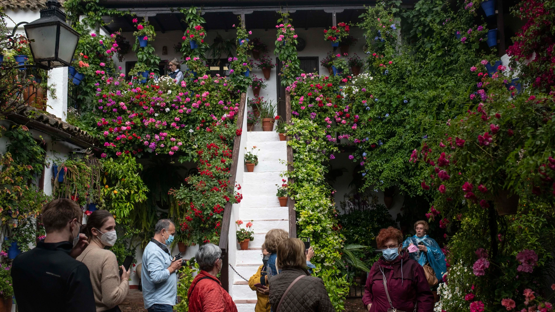 Varias personas visitan el patio de San Basilio 44 durante la primera jornada del Festival de los Patios de Córdoba