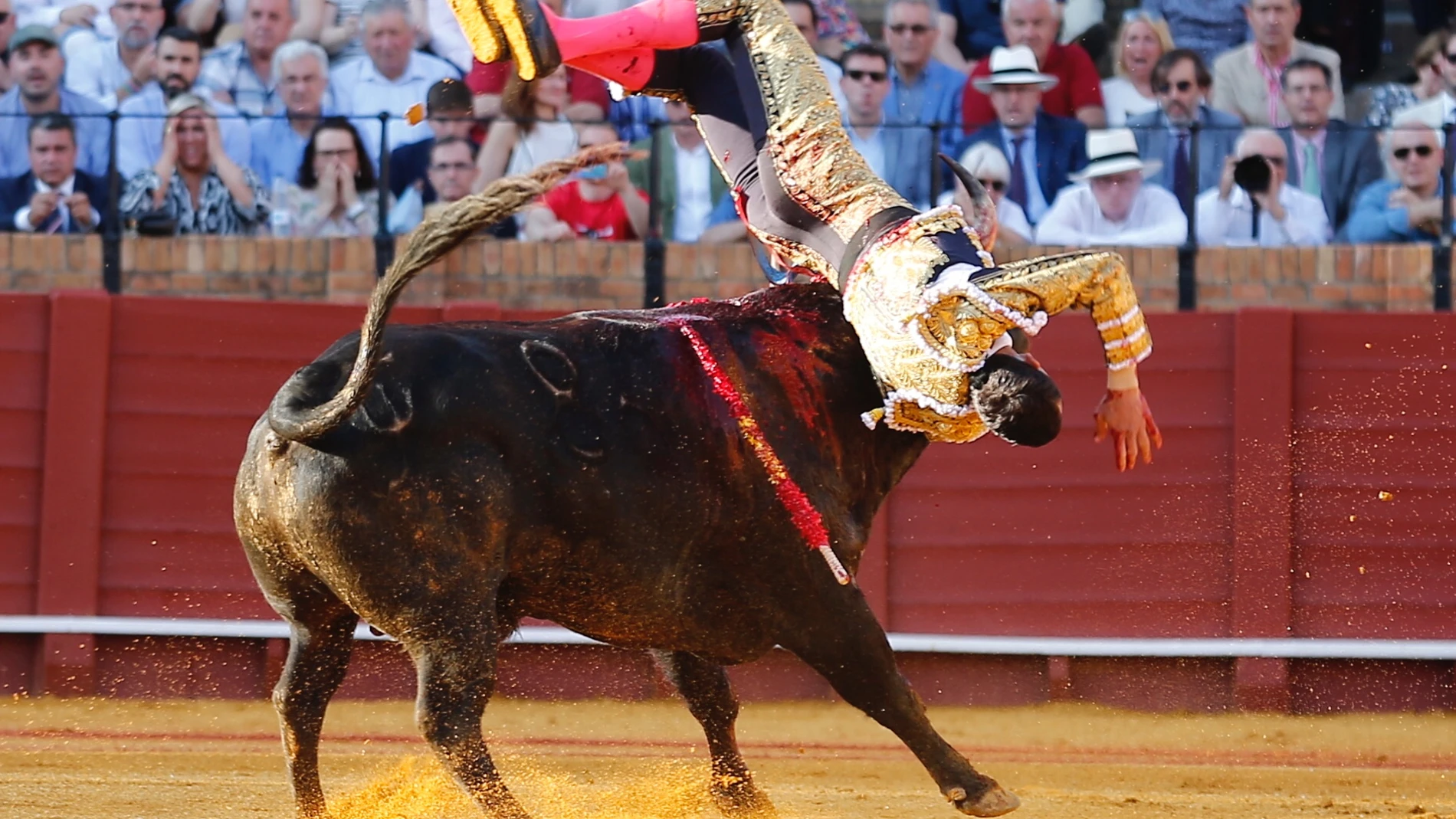 Paco Ureña resultó cogido por el tercero en Sevilla