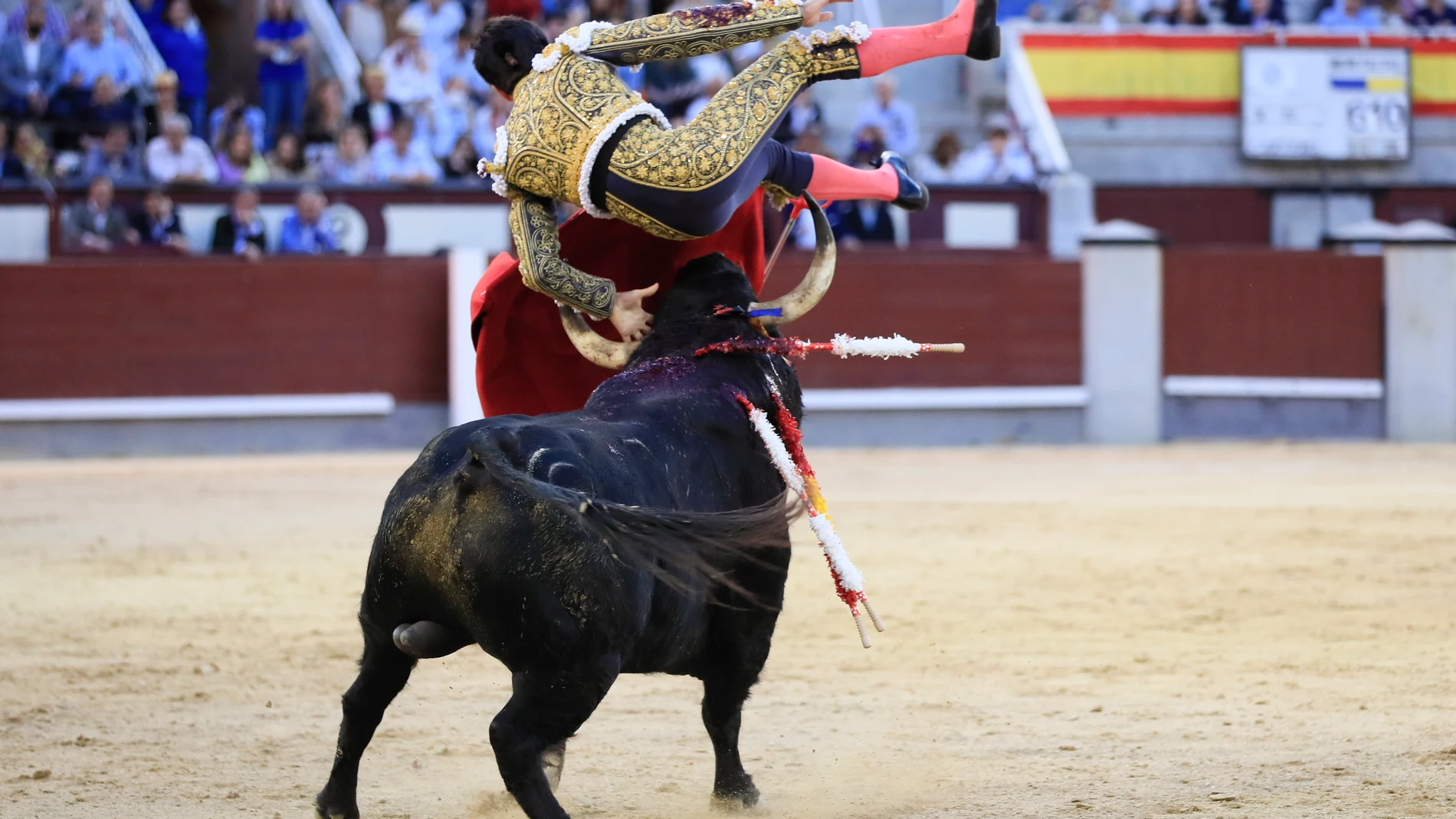 MADRID, 08/05/2022.- El diestro Álvaro Lorenzo es volteado por su segundo toro en el primer festejo taurino de la Feria de San Isidro, hoy domingo en la Monumental de Las Ventas, en Madrid. EFE/FERNANDO ALVARADO