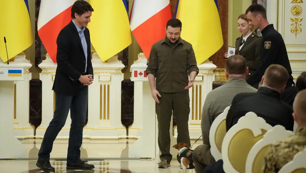 Zelenski otorga la medalla de honor a ‘Patron’, el perro detector de bombas en Ucrania