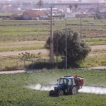 Un agricultor fumiga con su tractor un campo de hortalizas en el área metropolitana de Valencia