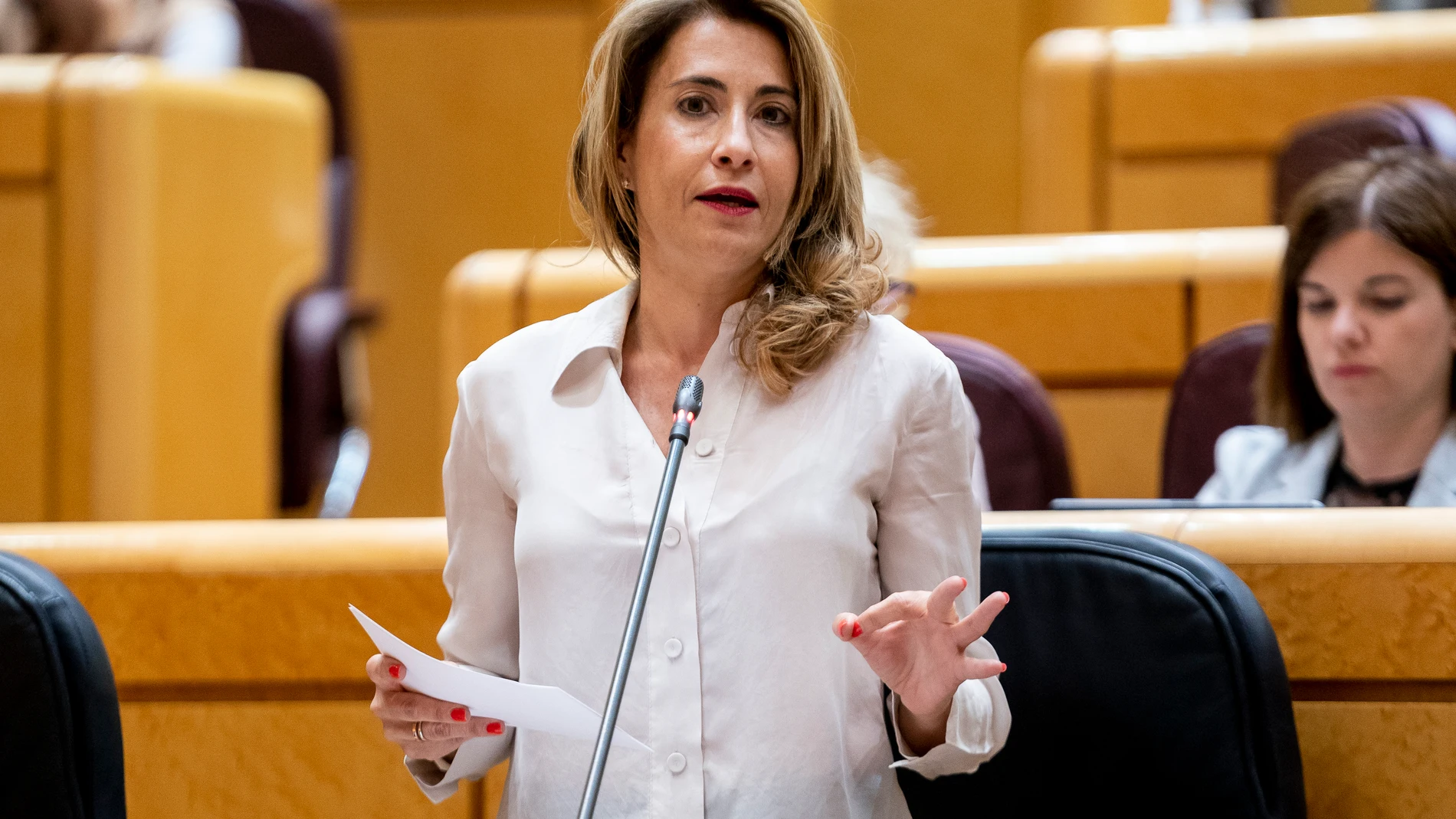 La ministra de Transportes, Movilidad y Agenda Urbana, Raquel Sánchez, interviene en una sesión de control al Gobierno