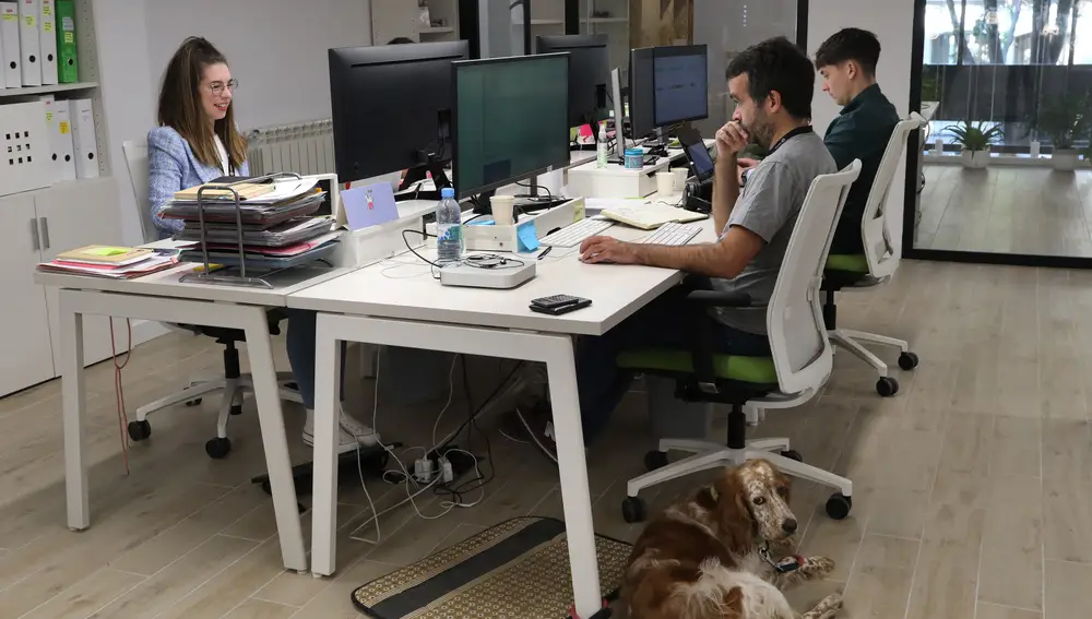 Empresa Roams de Palencia dedicada a la comparativa de tarifas de telefonía