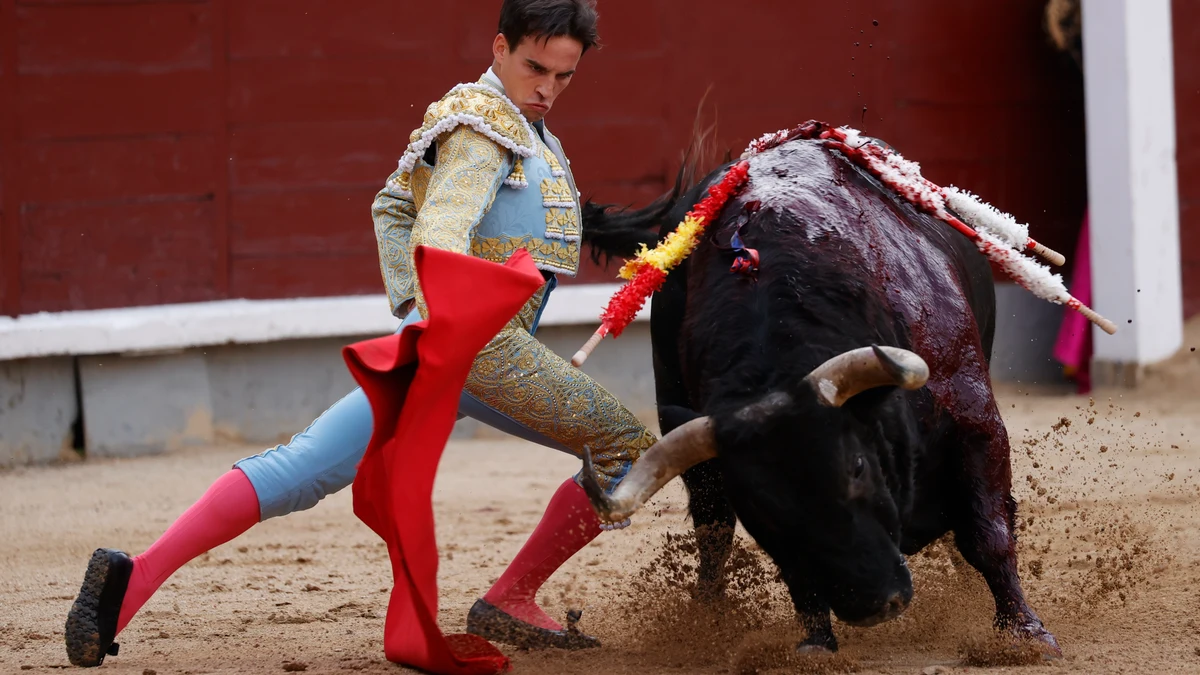 Gonzalo Caballero, cogido en la corrida de toros benéfica en Salamanca