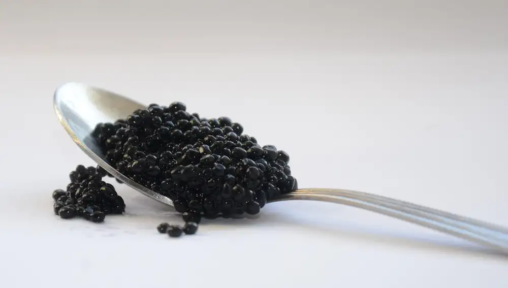 El caviar está prohibido en EE UU porque quieren proteger al esturión, que tiene un 85 por ciento de probabilidades de desaparecer.