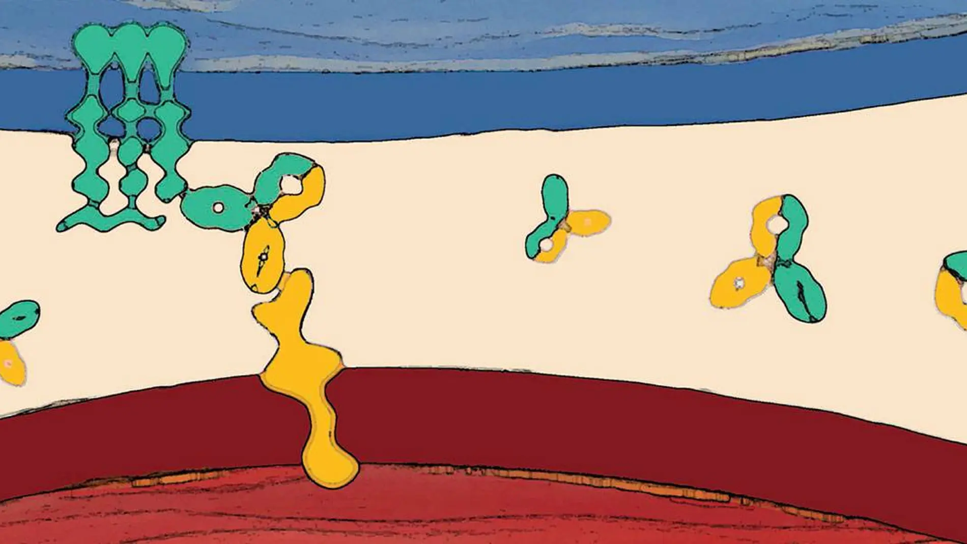 Representación artística elaborada por la revista Cancer Discovery de un anticuerpo biespecífico (GEN1046) uniéndose a PD-L1 y a 4-1-BB sobre la membrana de dos células yuxtapuestas, un linfocito T y una célula tumoral.