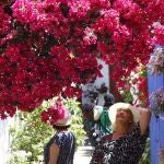 Varias mujeres en la fiesta de los Patios de Córdoba