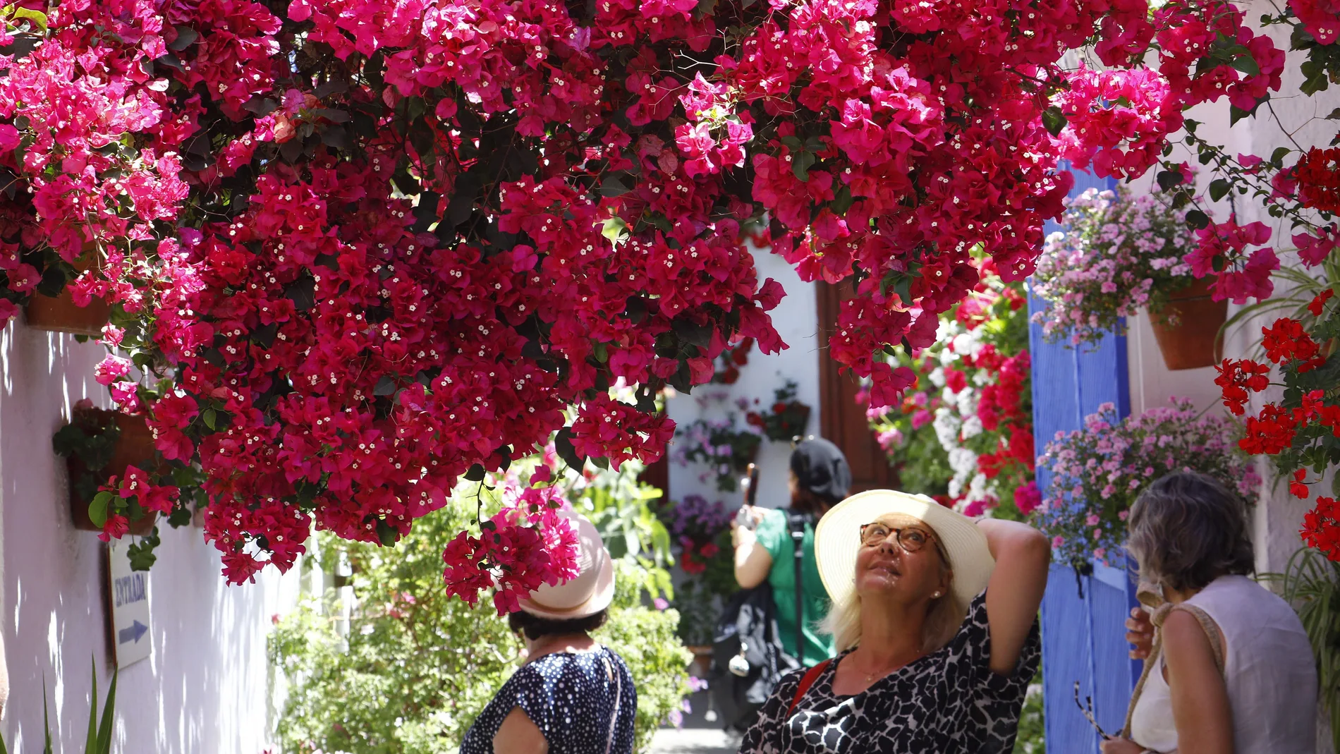 Varias mujeres en la fiesta de los Patios de Córdoba