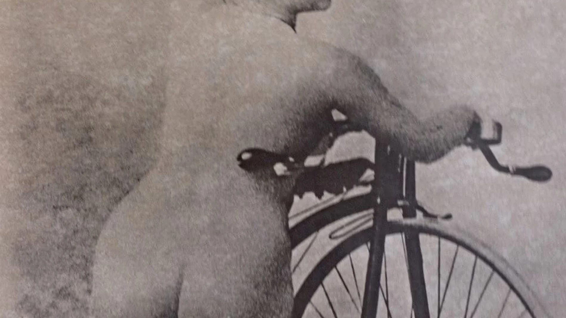 Desde las ánforas griegas, hasta los catálogos de lencería de los años cincuenta, pasando por la bicicleta como elemento erótico, la imaginería del sexo va de la mano de la historia de la Humanidad